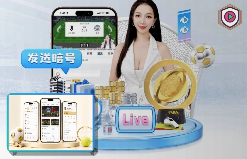 球迷观赛指引与交通地图